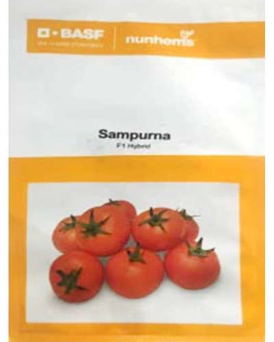 Nunhems Sampurna Tomato (3000 Seeds)