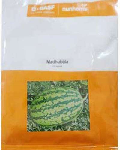 Nunhems Madhubala Watermelon (1000 Seeds)