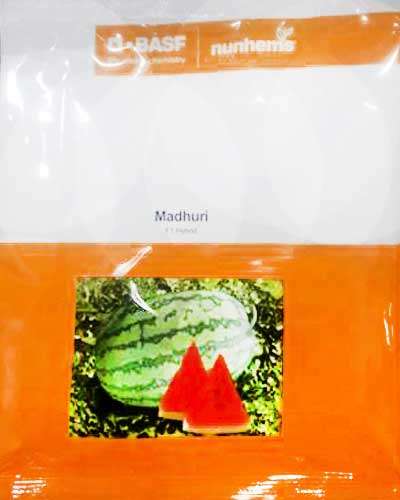 Nunhems Madhuri Watermelon (1000 seeds)
