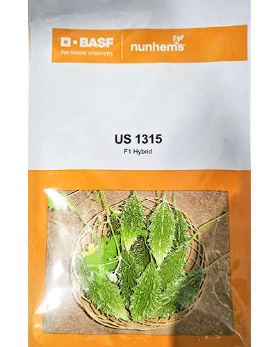 Nunhems US 1315 Bitter Gourd (500 Seeds)