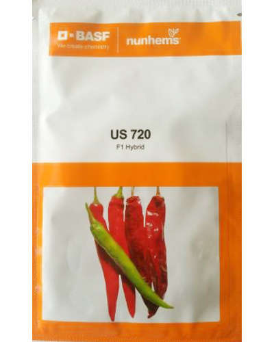 Nunhems US 720 Chilli (1500 Seeds)