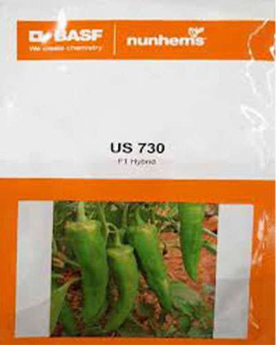 Nunhems US 730 Chilli (1500 Seeds)
