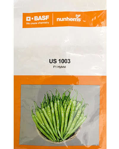 Nunhems US 1003 Chilli (1500 Seeds)