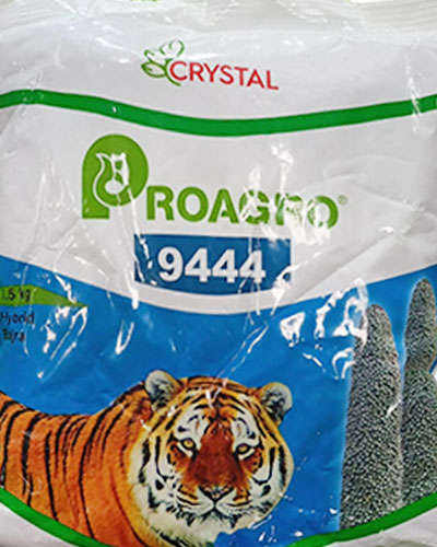 Pro Agro 9444 Bajara (1.5 kg) Seeds