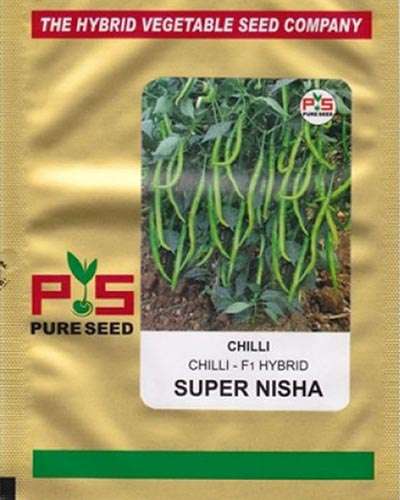 Shubh Labh Super Nisha Chilli (10g) Seeds