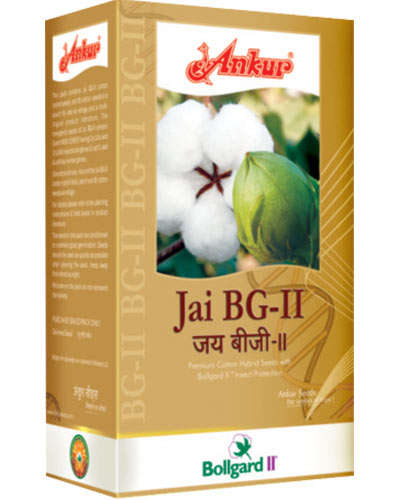 MH Ankur Jai BG II Cotton Seeds