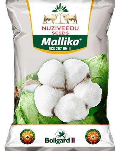MH Nuziveedu Mallika 207 BG II Cotton Seeds
