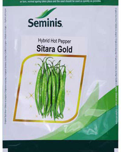 Seminis Sitara Gold Chilli (1500 Seeds)