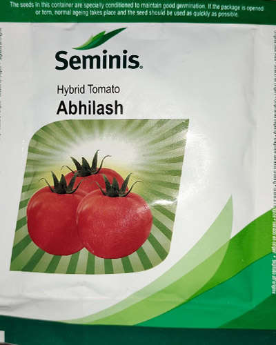 Seminis Abhilash Tomato (10g) Seeds