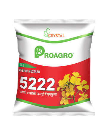प्रो एग्रो सरसों 5222 1 किलो बीज