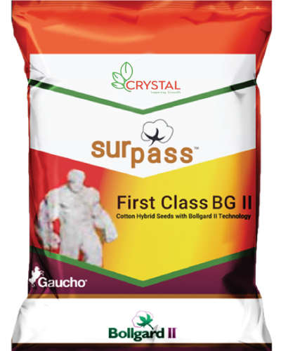 MH Crystal Surpass First class BG II Cotton Seed