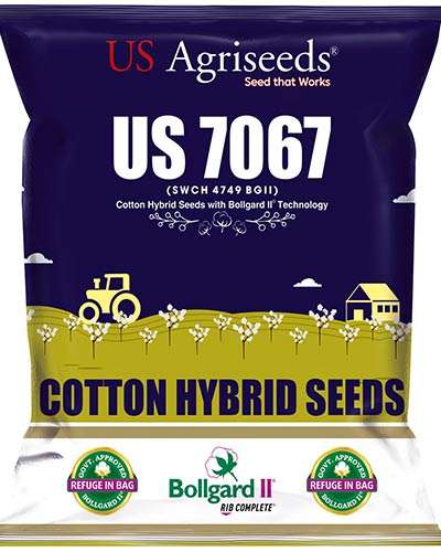 MH US Agri 7067 BG II Cotton Seeds