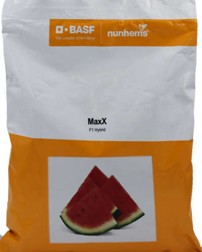 Nunhems Maxx Watermelon (1000 Seeds)