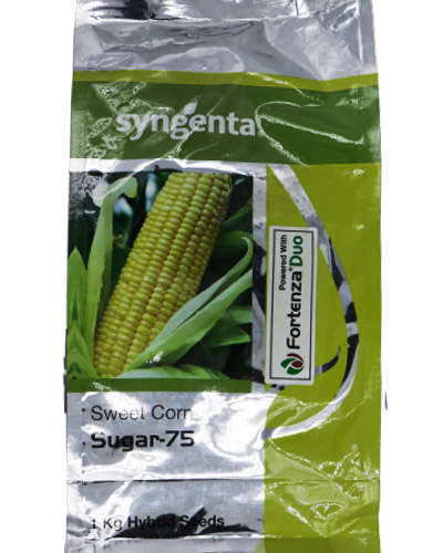 Syngenta Sugar 75 Sweet Corn (1kg) Seeds