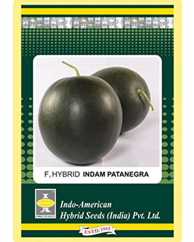 Indo American Patanagara Watermelon (25g) Seeds