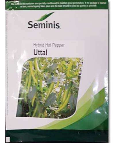Seminis Uttal Chilli (1500 Seeds)