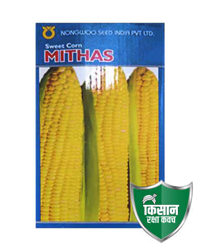 Nongwoo Mithas Sweet Corn (1kg) Seeds