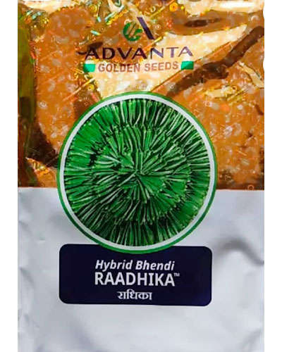 UPL Radhika Okra (250g) Seeds