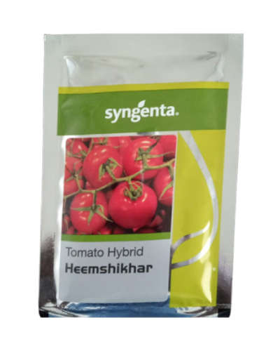 सिंजेंटा हिमशिखर टोमॅटो (10 ग्रॅम) बीज