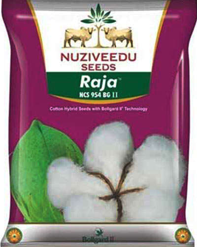 MH Nuziveedu Raja 954 BG II Cotton Seeds