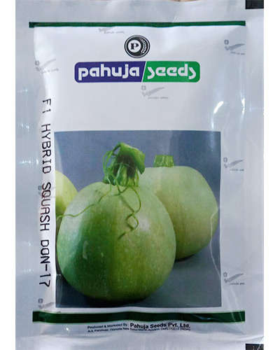 Pahuja Don17 Squash (50gm) Seed