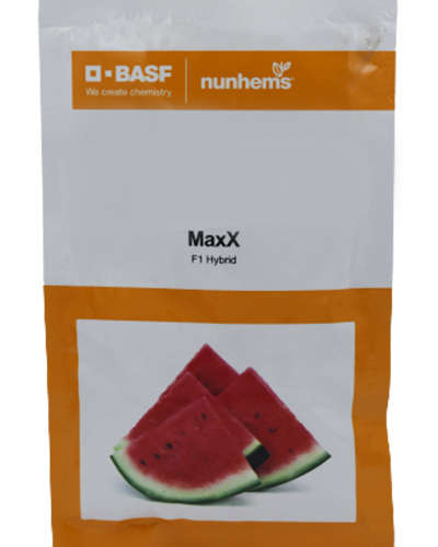 Nunhems Maxx Watermelon (10000 Seeds)