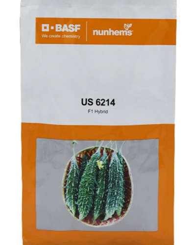 Nunhems US 6214 Bitter Gourd (250 Seeds)