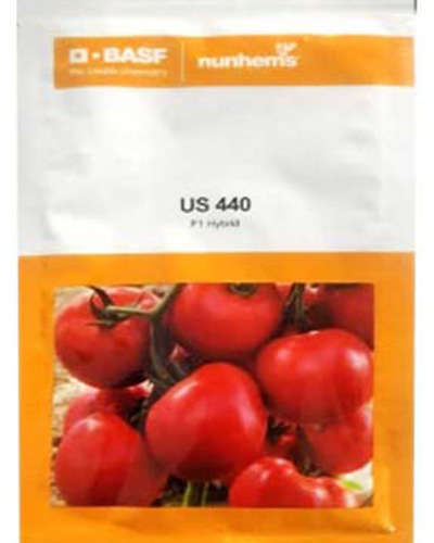 Nunhems US 440 Tomato (3000 Seeds)