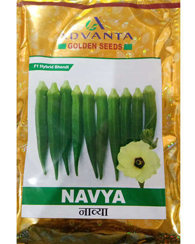 UPL Navya Okra (250g) Seeds