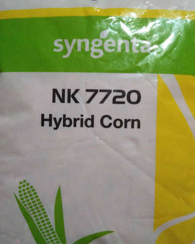 syngenta-nk-30-plus-syngenta-introduces-10-new-nk-corn-hybrids-seed
