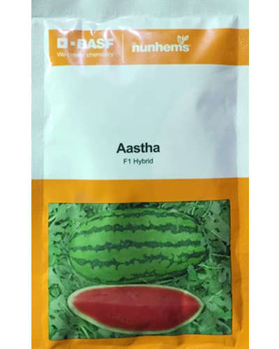 Nunhems Aastha Watermelon (1000 Seeds)