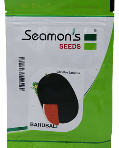 Seamons Bahubali Watermelon (50g) Seeds