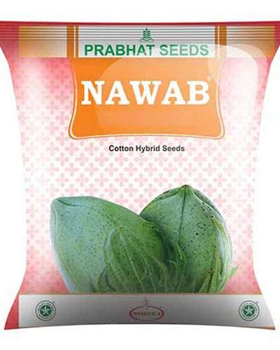 Prabhat Nawab BG II Cotton Seed