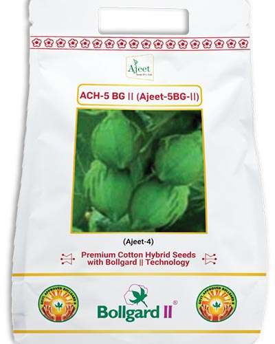 MH Ajeet 5 BG II Cotton Seeds