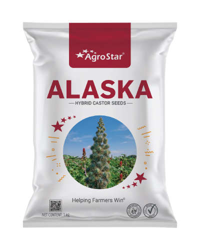 Agrostar Alaska Castor (1Kg) Seeds