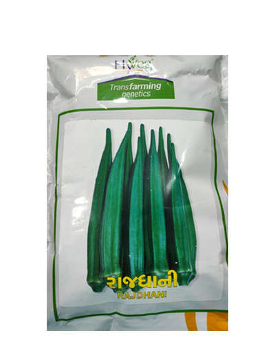 Acsen Hyveg Rajdhani Okra (500g) Seeds