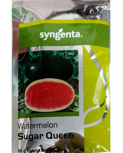 Syngenta Sugar Queen Watermelon (1000 Seeds)