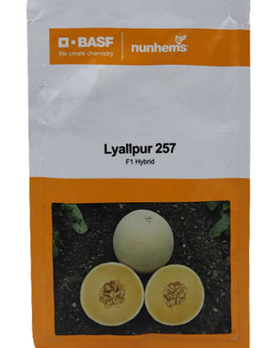 Nunhems Lyallpur 257 Muskmelon (1000 Seeds)