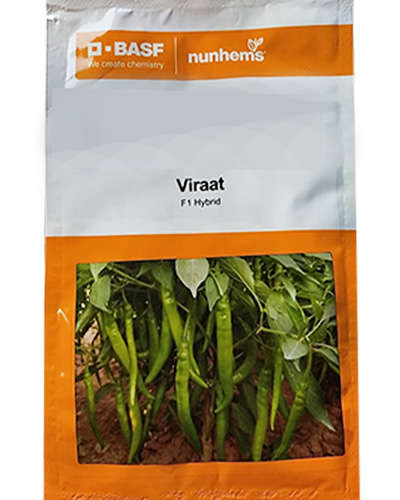 Nunhems Viraat Chilli (1500 Seeds)