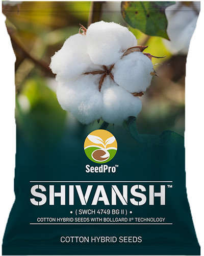 MH Seedspro Shivansh BG II Cotton Seeds