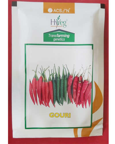 Acsen Hyveg Gouri Chilli (10g) Seeds