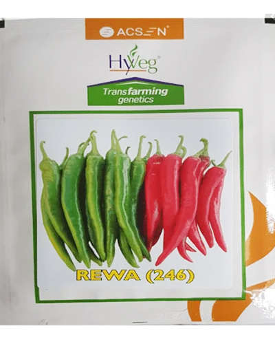 Acsen Hyveg Rewa Chilli (10g) Seeds