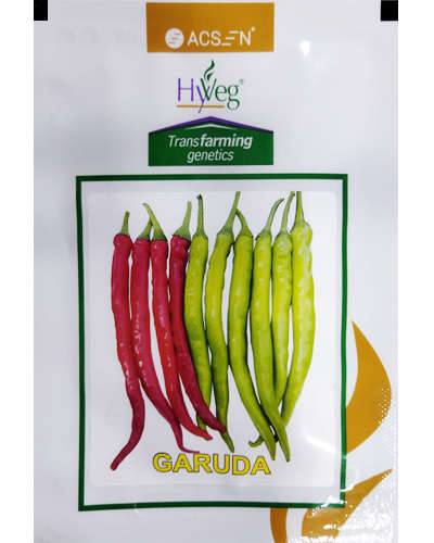 Acsen Hyveg Garuda 266 Chilli (10g) Seeds