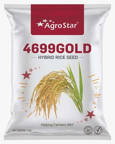 Agrostar 4699 Gold Paddy (3 Kg) Seeds