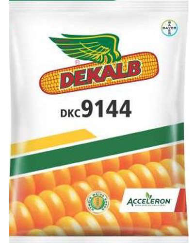 Dekalb 9144AU Maize (4 Kg)Seeds
