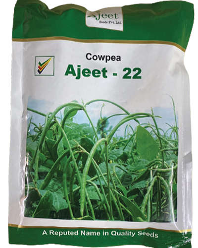 Ajeet 22 Cowpea (500 Gms) Seeds