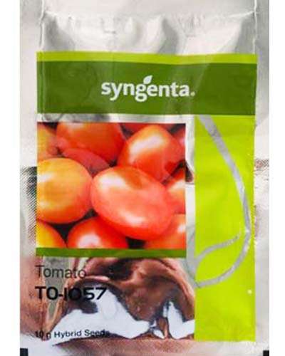 सिंजेन्टा टीओ - 1057 टोमॅटो बियाणे