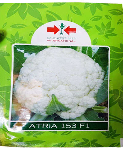 East West Atria Cauliflower (10g) Seeds