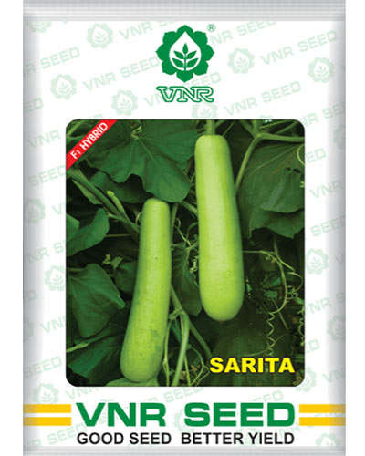 East West seeds East West Bottle Gourd Anmol (10 Gms) Seeds - Agrostar