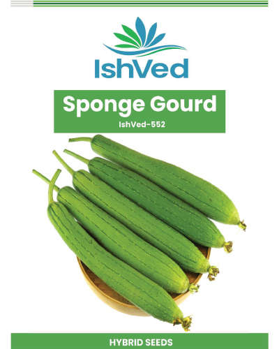 Ishved�552�Sponge�Gourd (50g) Seeds